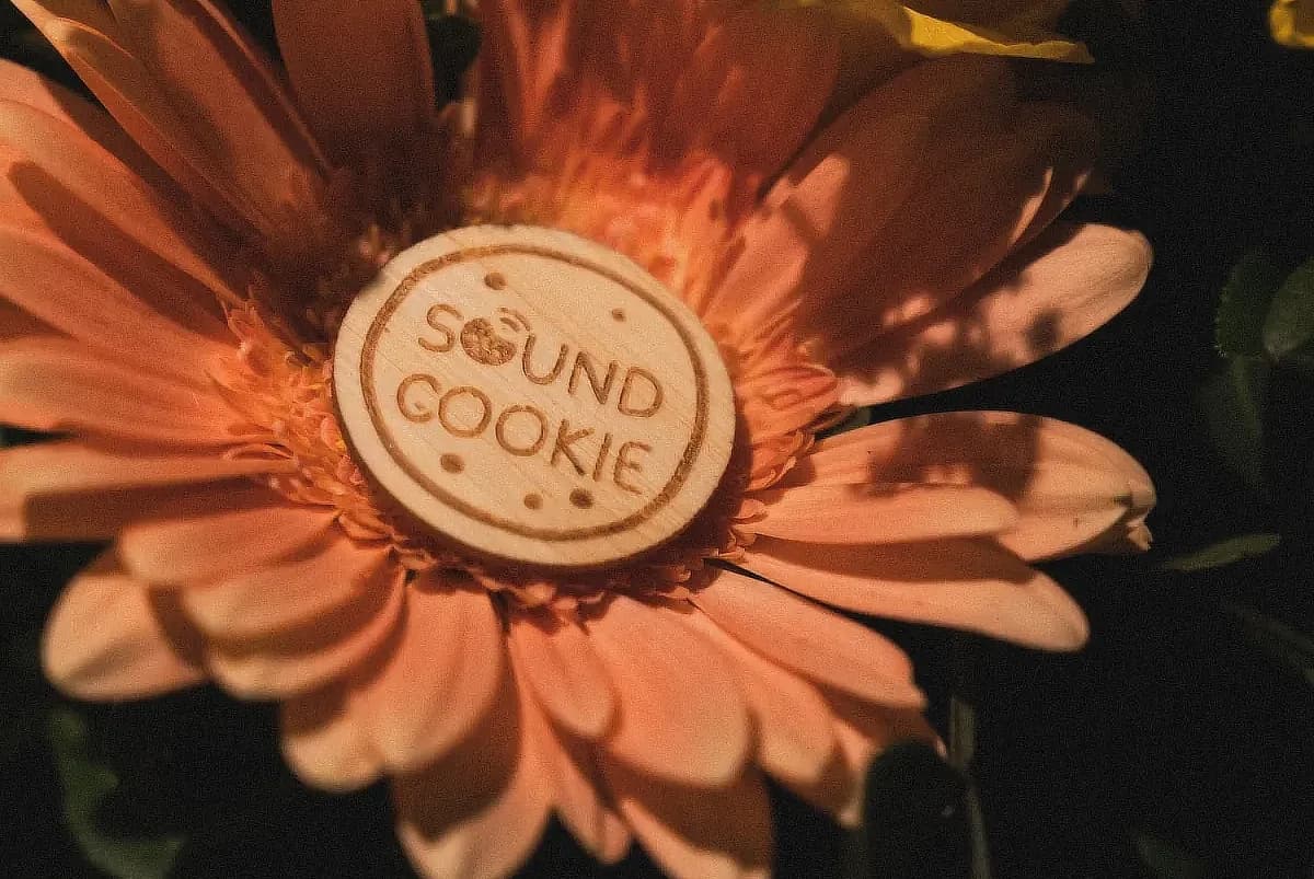 SoundCookie: Das smarte Upgrade für dein Audio-Gästebuch als Hochzeits-DJ